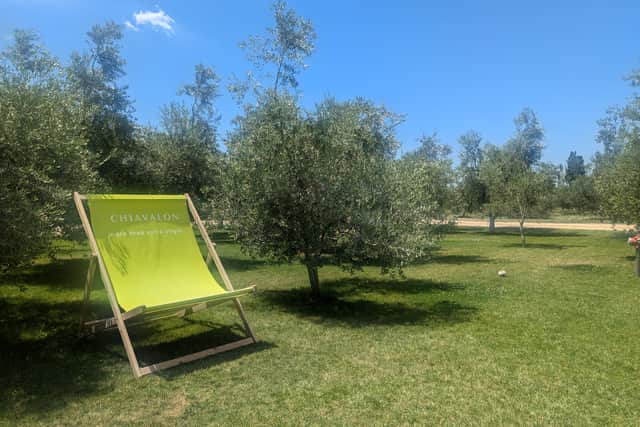 Family business Chiavalon produces some of the world's best Olive Oil