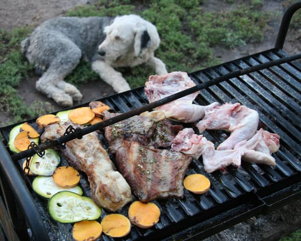Dogs and barbecues don't always mix.