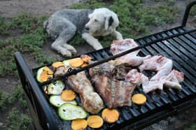 Dogs and barbecues don't always mix.