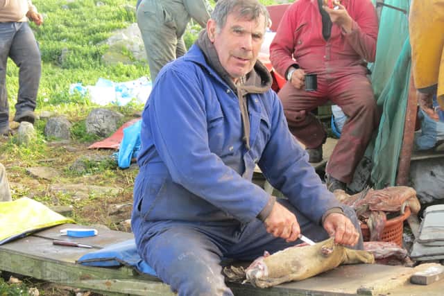 Dods Macfarlane splitting one of the hunted birds open to take the ribcage out