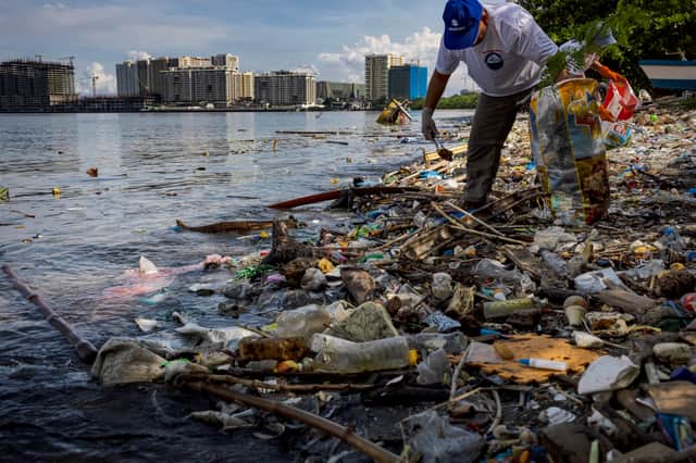 A volunteer collects plastic waste that washed up on the shores and mangroves of Freedom Island in Manila Bay, Philippines (Picture: Ezra Acayan)