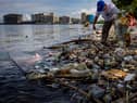 A volunteer collects plastic waste washed up on the shores of Freedom Island in Manila Bay, Philippines (Picture: Ezra Acayan)