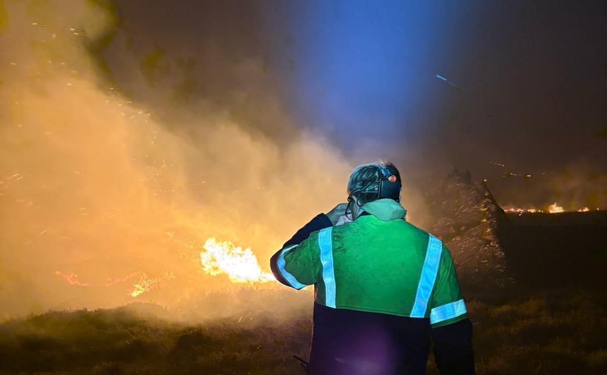 Campfires and BBQs to Be Banned in Cairngorms After Devastating Sco...