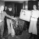Hercules the bear, seen with owner Andy Robin, second from left, became the first honorary member of the Cartoonist's Club in 1980