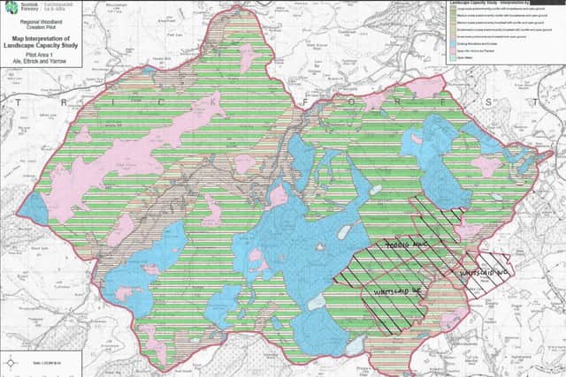 A pilot study carried out by Scottish Forestry for a land capacity map. The outer red line is the boundary of the pilot study and blue denotes existing plantations. Todrig and Whitslaid are marked bottom right.