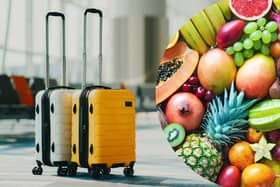 Can I bring food back from holiday? Travel rules for food -  including restrictions on fruit and meat