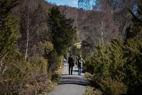 Juniper footpath at Dundreggan estate, near Loch Ness, which is owned by Rewilding charity Trees for Life