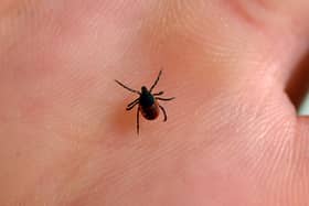 Latest reports show there was more than 1,500 cases of Lyme disease in 2024.