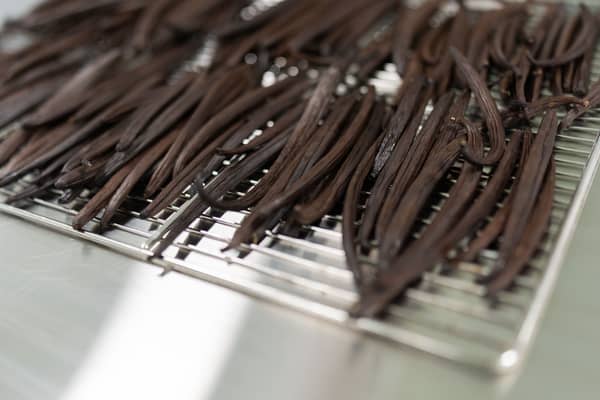 Vanilla Farms vanilla pods