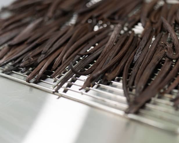 Vanilla Farms vanilla pods