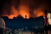 Deadly wildfires rage across parts of Turkey earlier this year (Picture: Berkcan Zengin)
