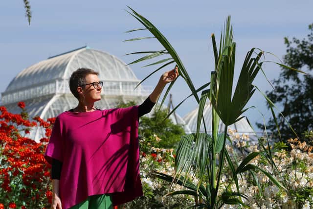 Karine Polwart with a sabal palm seedling at the Royal Botanic Garden in Edinburgh