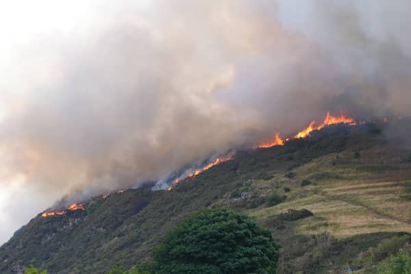 A fire has broken out on Arthur's Seat in the centre of Edinburgh 