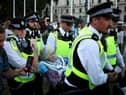 A protester is carried away by police officers at a 'Lift The Ban' demonstration in support of the proscribed group Palestine Action (Picture: Henry Nicholls)