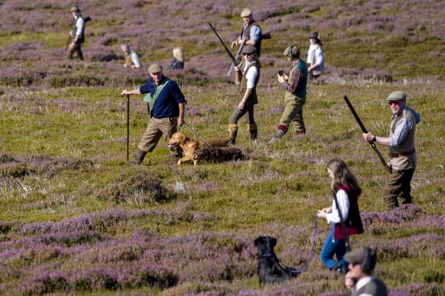 A shooting party out on the moors on the Glorious Twelfth to mark the start of the grouse shooting season.