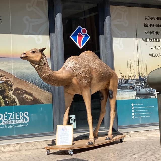 The camel is the mascot of Bezier and references are to be found around the city.