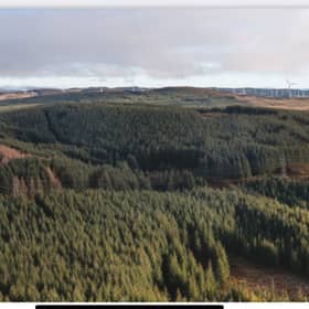 Griffin Forestry Estate near Aberfeldy in Perthshire. PIC: Savills.