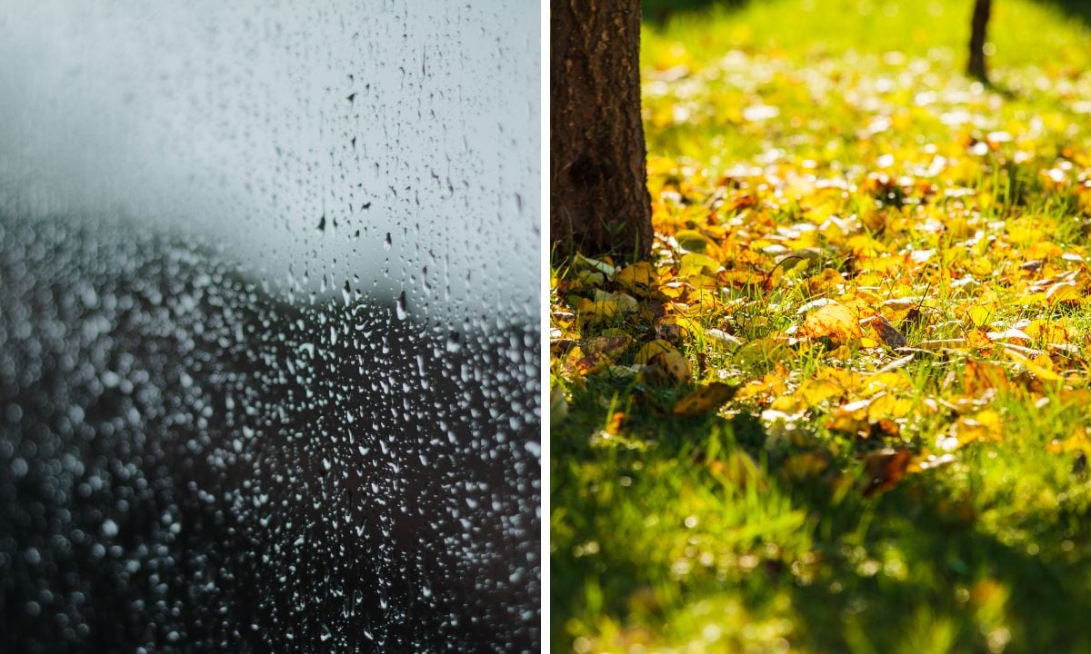 Hurricane Erin forecast to bring band of rain to UK - when does autumn start? Could autumn start early?