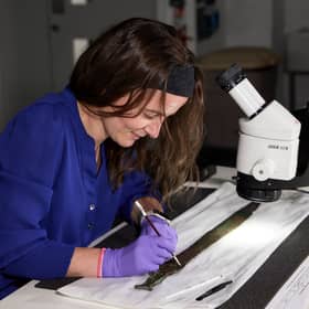 Conservator Bethan Bryan working on the Carnoustie Hoard