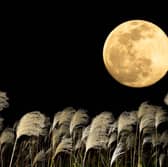 The Harvest Moon will be lighting up skies (clouds willing) this month.