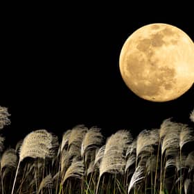 The Harvest Moon will be lighting up skies (clouds willing) this month.