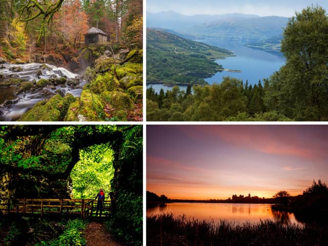 Some of Scotland's best autumn walks.