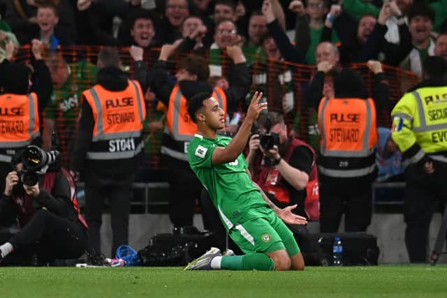Adam Idah celebrates his late equaliser for Republic of Ireland against Hungary.