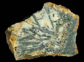 An example of Stibnite, one of the minerals illegally removed by   Dagmara Lesiow Lasczcewski .