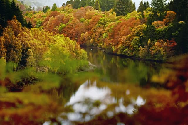 The loch is a beautiful spot to wander around as the leaves on the surrounding trees change hue