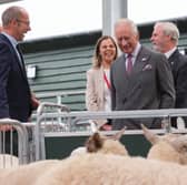 Prince Charles surveys livestock