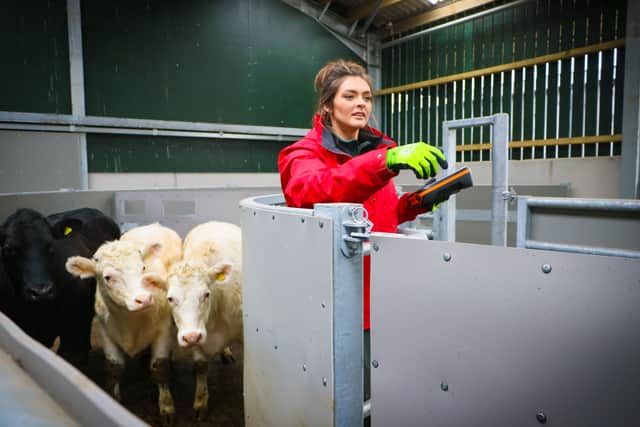 The King's Foundation is offering a new farming course