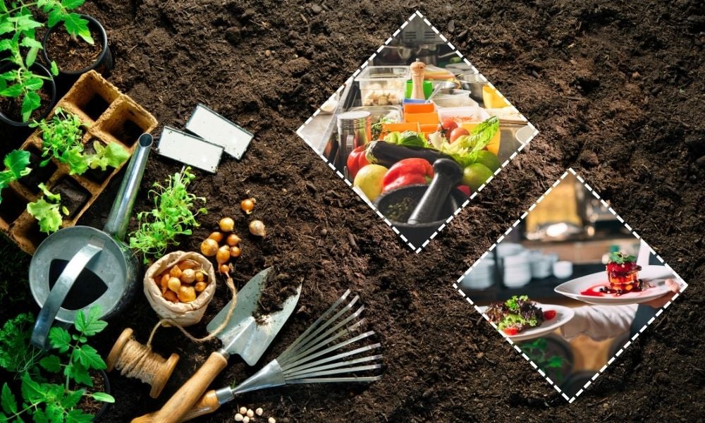 National Trust: How Eating Seasonally Can Help the Planet - and 25 ...