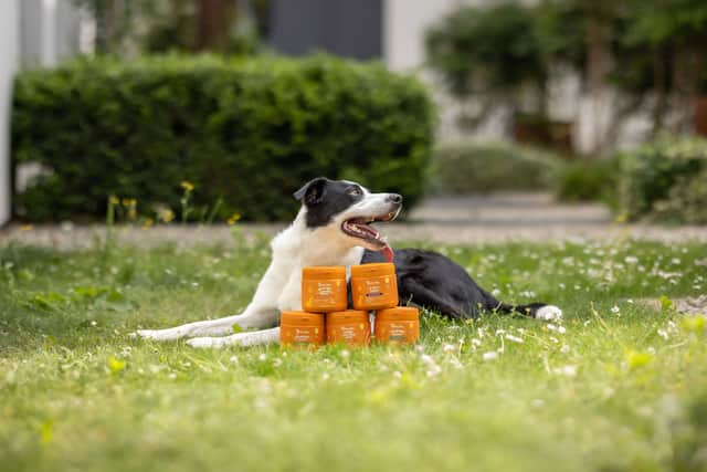Supplements for dogs and cats are a thing - and they're cheaper than ever