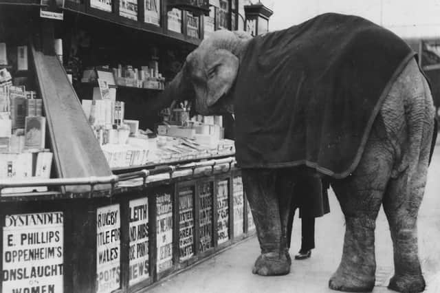 Bebe causing havoc at the John Menzies bookstall in Aberdeen Station in 1931