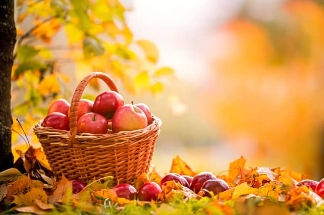 Financial harvest