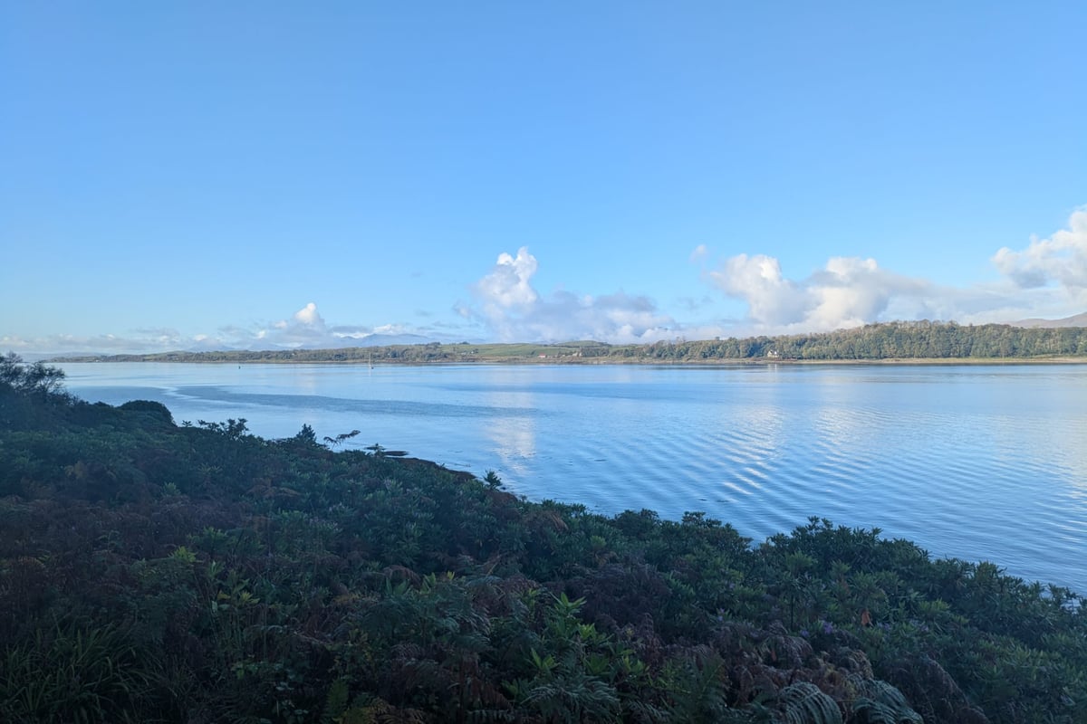 I Went on a Foraging Walk at One of Scotland's Most Picturesque Spo...