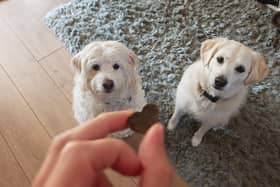 Gareth Butterfield’s dogs absolutely love their new "treats" - but do the health claims stand up in the real world? 