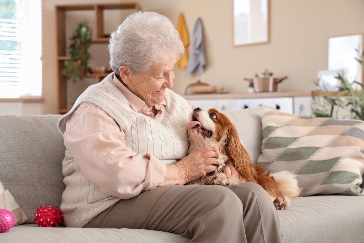 Best Dogs for the Elderly: Here Are 16 Breeds of Adorable Dog That ...