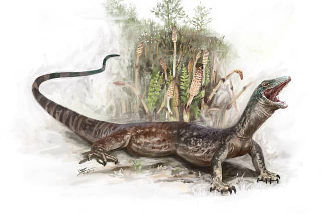 An artist's impression of a Breugnathair elgolensis, a previously unknown species that lived around 167 million years ago, based on a fossil found on Skye