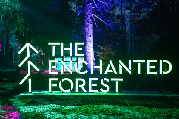 The Enchanted Forest is back in Faskally Woods, Pitlochry