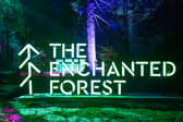 The Enchanted Forest is back in Faskally Woods, Pitlochry