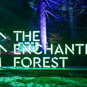 The Enchanted Forest is back in Faskally Woods, Pitlochry