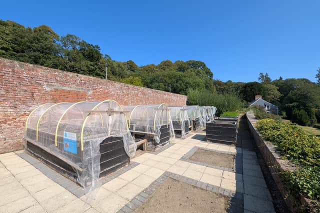 The River Garden in Ayrshire is a place where hope grows alongside vegetables and lives are rebuilt