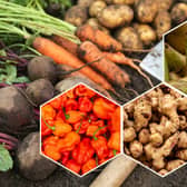 From chillies to pears, beets to Jerusalem artichokes, there are plenty of exciting fruits and veggies in season now