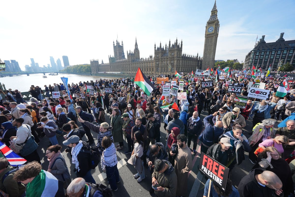 Tens of thousands of pro-Palestinian protesters gather in central London