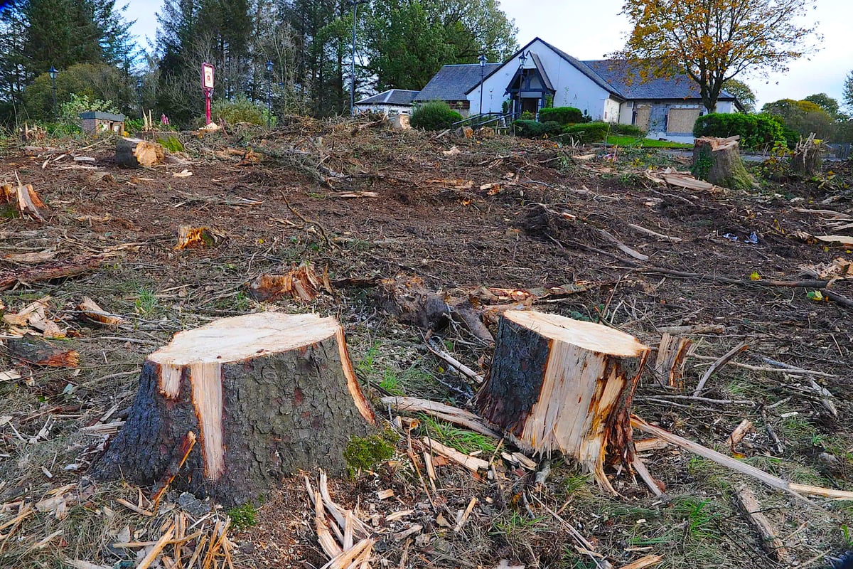 East Kilbride restaurant owners apologise after destroying 80 trees to 'open up space'