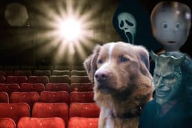 What better way to avoid the door knockers this Halloween than a trip to your local cinema to catch one of these frighteningly good releases this season?