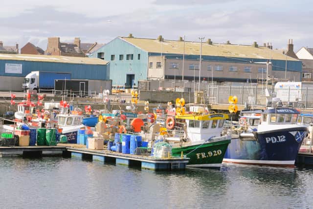Peterhead Harbour, said to be one of the biggest in Europe and the UK, particularly for whitefish and pelagic species