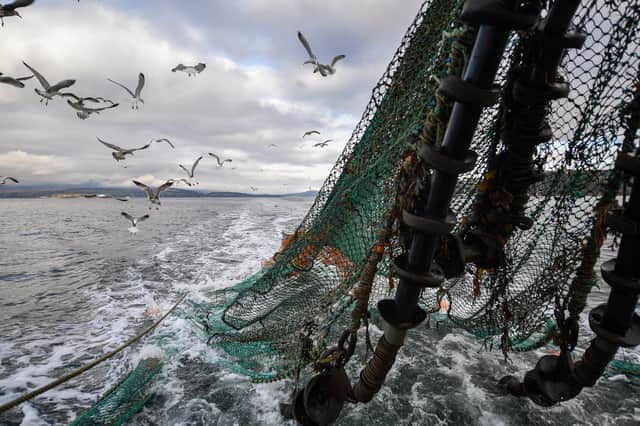 If the SNP believes in a fair share of UK Government funding for Scotland's fishing fleet, it should be giving Shetland's fishermen a better deal (Picture: Jeff J Mitchell)