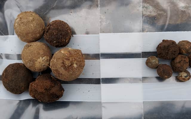 Lead buck and ball shot found in a single location